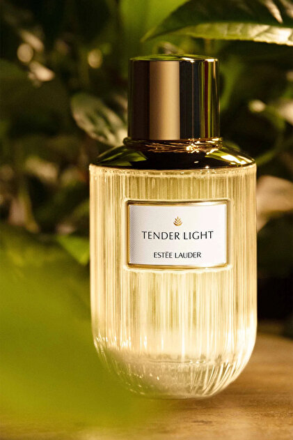 Estee Lauder Tender Light - EDP 100 ml Kadın Parfüm - Luxury