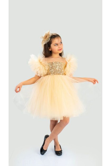 Girls Birthday Party Dress with Pompom Sleeves Tulle Sequin Buckle Bow