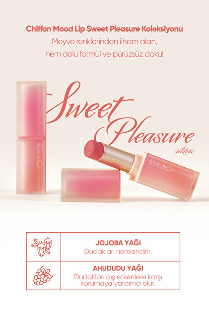la mejor l-carnitina para bajar de peso Sei Bella® Matte Lipstick: Girl Boss main image 1