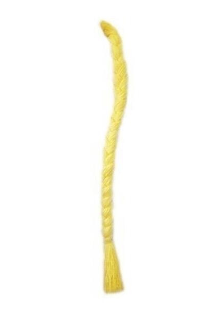 Rapunzel Braided Hair