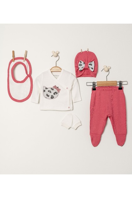 Baby Girl 5-Piece Bodysuit Set Pink Baby Set