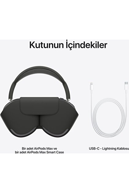 AirPods プロマックス グレー airpodspromax ジャンク品 AirPods プロマックス グレー airpodspromax ジャンク品 AirPods Max