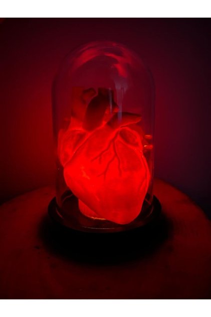 Sevgililer Günü Hediyelik Dekoratif Anatomik Kalp Gece Lambası