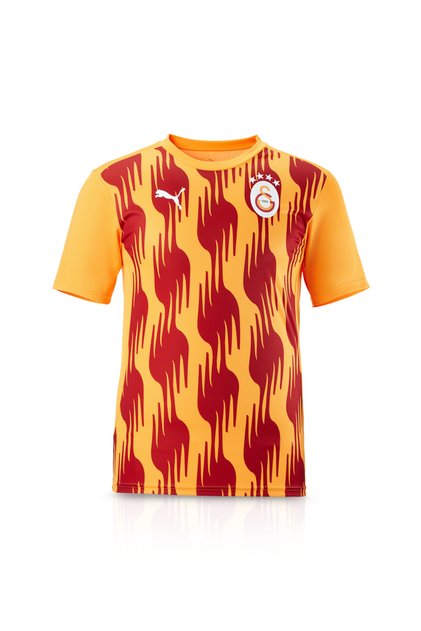 Galatasaray Puma A Takım Antrenman T-Shirt 77969304