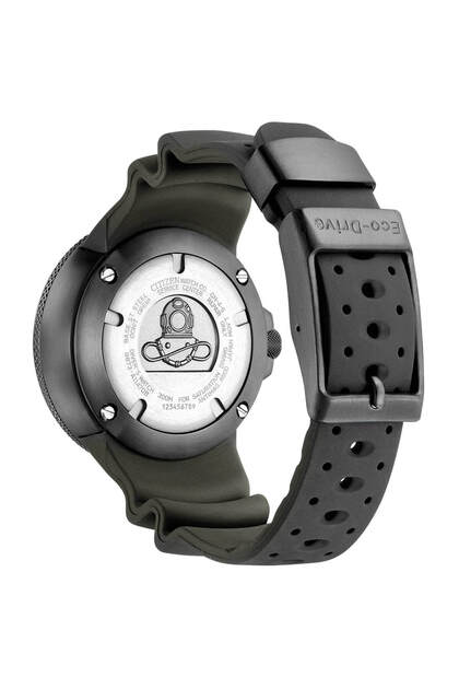 Citizen Promaster Professional Diver 300 Bj8055-04x - Fiyatı