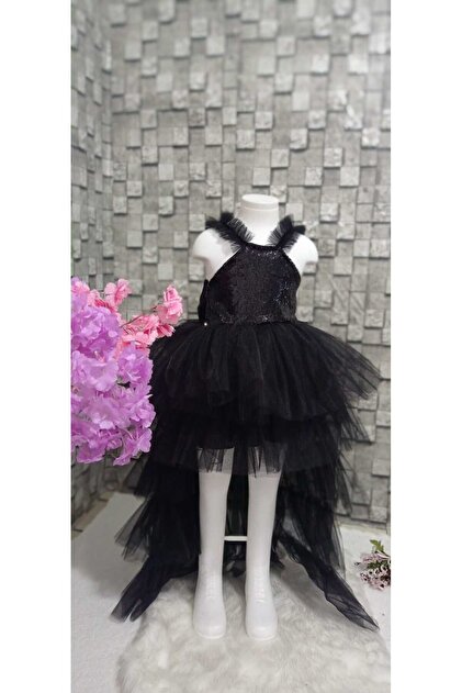 bebe graduation dresses Bebe Graduation Dresses for Women
