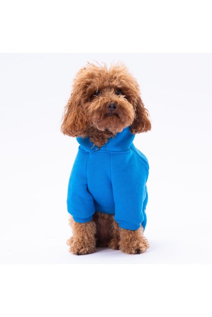 Mavi Kanguru Cepli Kedi-Köpek Hoodie- Sweatshirt Kedi Köpek Kıyafeti