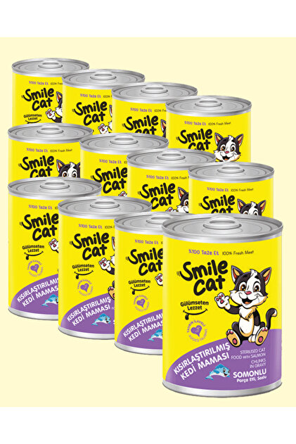smileママ SMILE Cat Konserve Kısır Yetişkin Kedi 400 gr Somonlu Mama 12'li