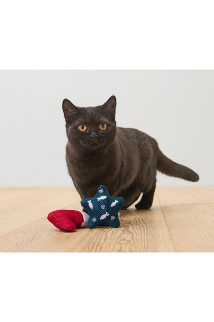 Cat Toys