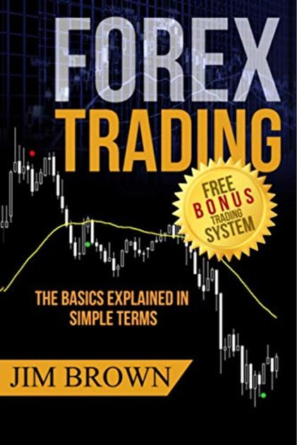 Forex Trading The Basics Explained In Simple Terms