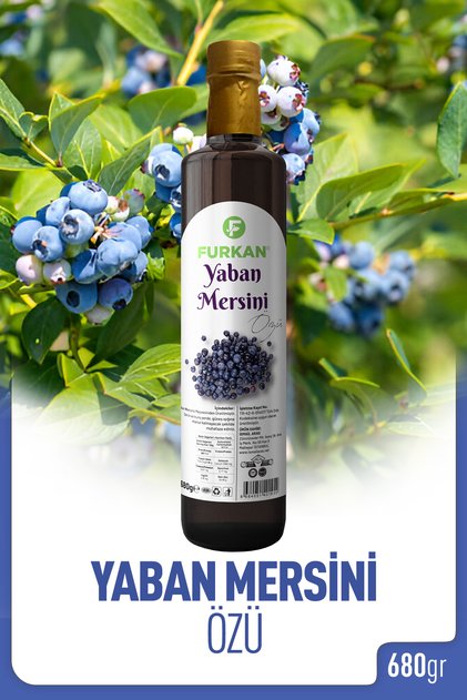 Doğal Ürünler Yaban Mersini Özü 680 gr