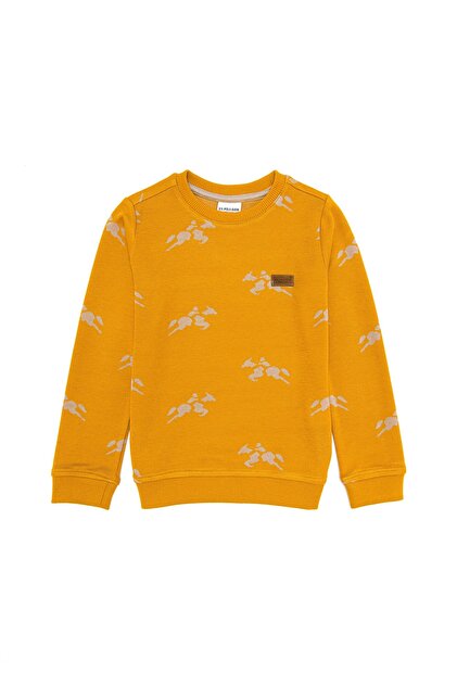 Boy's Saffron Crew Neck Sweatshirt