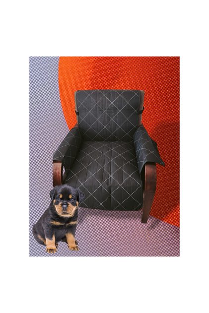Premium Liquid-Proof Dirt-Resistant Quilted Fabric Armchair Cover for Paw-Pal Families and Families with Children