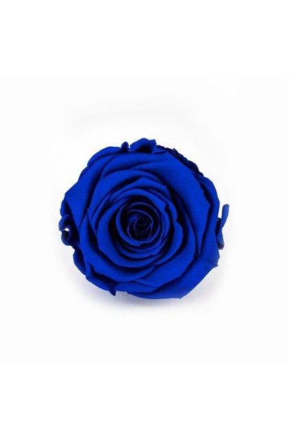 Rose Amor LACİVERT şoklanmış solmaz gül XL