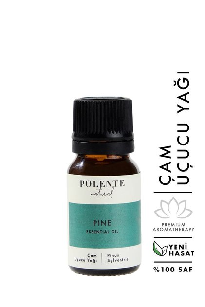 Pine Essential Oil (10 ml)