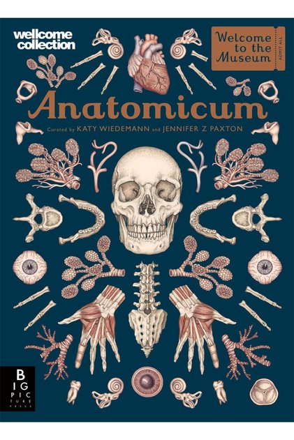 Anatomicum - Jennifer Z Paxton (Hardcover)