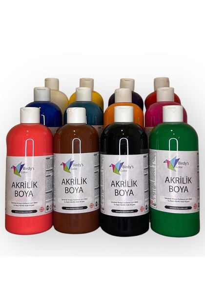 Birdy's Color Akrilik Boya 12'li Set 12X500GR - Ana Renkler