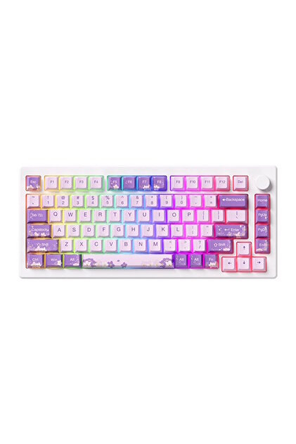 AKKO MOD 007 HE PC Purple Melody Hall Effect RGB Mekanik Gaming