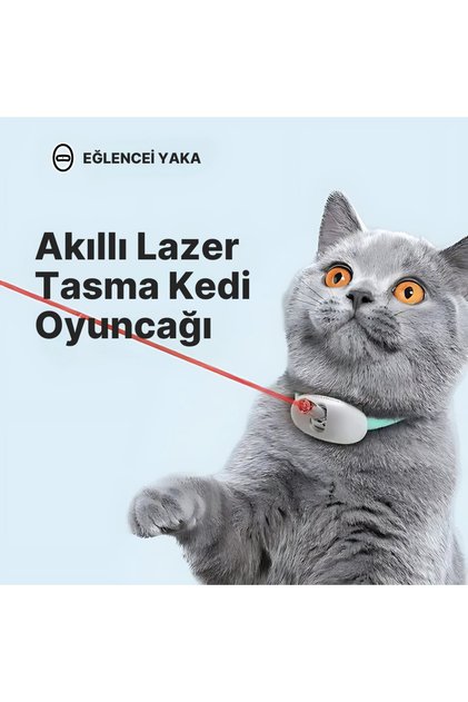 Akıllı Lazer Tasma Kedi Oyuncağı eğitici kedi egzersiz oyuncağı Kedi Tasması Lazer