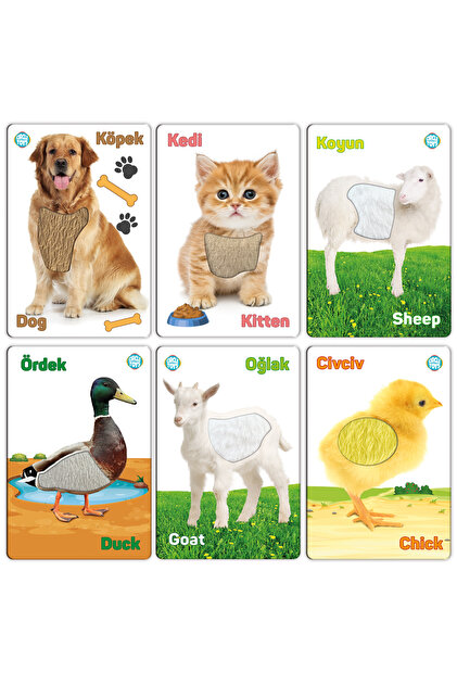 Circle Toys Dokun Hisset Tanı, 18 Kart 36 Görsel - Fiyatı, Yorumları