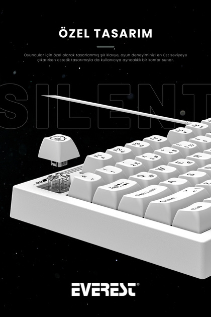 Everest KB-98 Sessiz Rainbow Q Türkçe Klavye Membrane Oyuncu