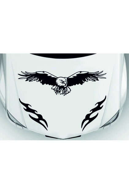 Eagle Front Hood Auto Sticker (96 X 23 cm)