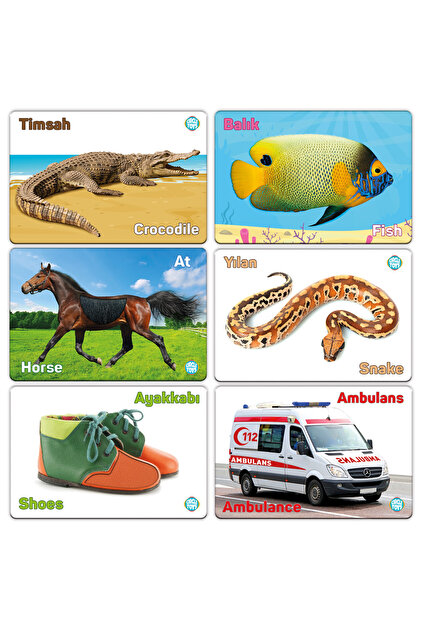 Circle Toys Dokun Hisset Tanı, 18 Kart 36 Görsel - Fiyatı, Yorumları