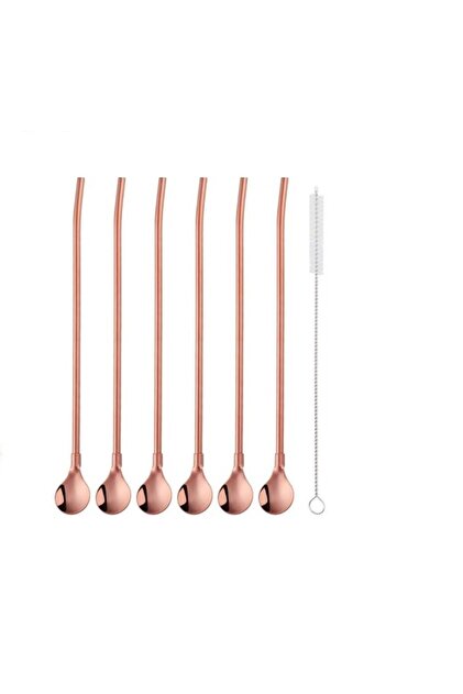 Metal Spoon Set with Straw 6 Pieces + Cleaning Brush Bronze Color Simple Model