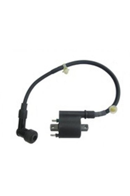 Ateşleme Bobini Oem Honda Spacy 110 Actıva 125 S Ps