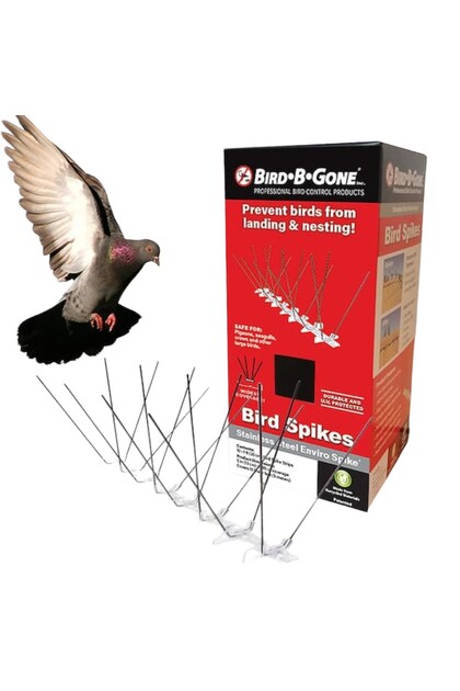 مسامير طاردة للطيور من Bird-B-Gone Enviro، مصنوعة من الفولاذ المقاوم للصدأ، تغطي مساحة 10 أقدام في أقسام بطول قدم واحد، بعرض 5 بوصات، وقاعدة من البولي كربونات المقاومة للأشعة فوق البنفسجية، تدور 360 درجة، قابلة للقطع، طارد حميمي للحمام للحواف.