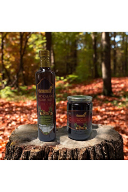 Herbal Palace Kozalak Macunu %100 Doğal Bal Bitki Propolis