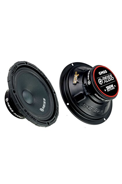 Audio 20 Cm Midrange Çifti 700 Wat 300 Rms Profosyonel Seri Rs-gm8s