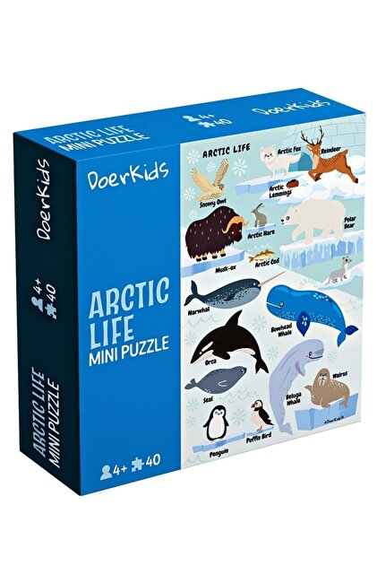 DoerKids Kuzey Kutbu Hayvanları Mini Puzzle | 40 Parça 3-7 Yaş