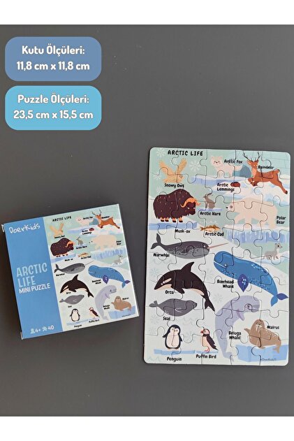 べーじゅ　50本 DoerKids Kuzey Kutbu Hayvanları Mini Puzzle | 40 Parça 3-7 Yaş