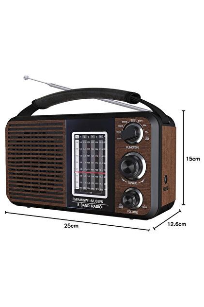 Powermaster MagicVoice USR11 Analog Portatif Radyo FM-USB-SD/MMC