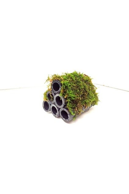 Moss "tüpe Tutturulmuş Karides Yuvası Ve Üretim Tüpü 6 Lı" 1 Ad 10 Cm