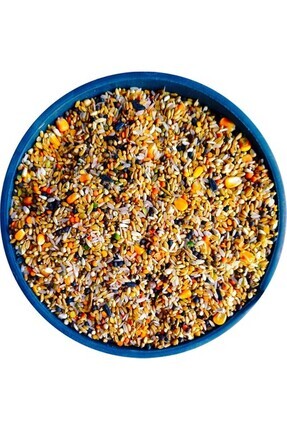Yem Karışık Güvercin Yemi (buğdaylı) - 5kg