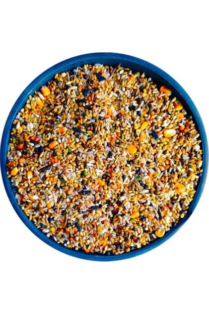 Yem Karışık Güvercin Yemi (buğdaylı) - 5kg