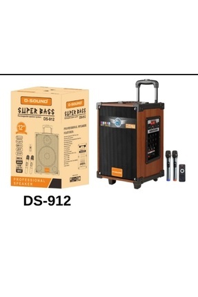 D-sound Ds-908 3 Kanal Şarzlı+bluetooh+telsiz Mikrofonlu Saz Gitar
