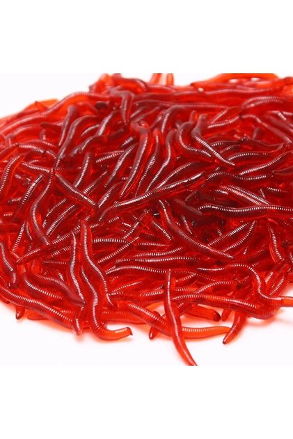 100pcs red Bionic Red Worm Lure 100pcs 3.5cm Lifelike Silica Gel Fishy Artificial Red Worm Earthworm