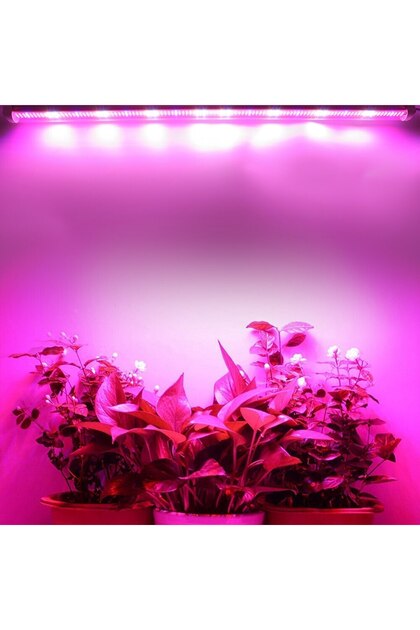 DORA LED Grow Led Full Spectrum Led Alüminyum Kasalı Bitki Büyütme