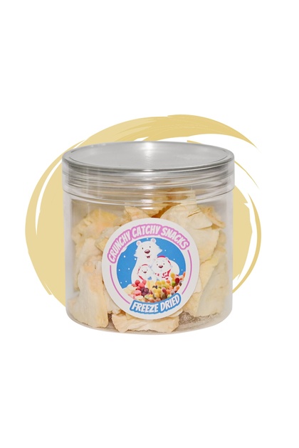 Pineapple Dried Frozen 40g