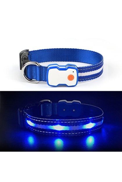 Tz-tc6230 Led Işıklı Şarjlı Köpek Tasması, Su Geçirmez, 3 Renk Seçenekli