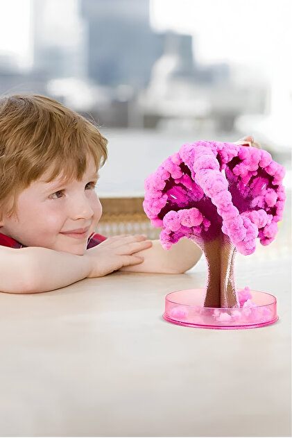 True Tree Sihirli Japon Sakura Ağacı - 24 Saatte Yeşeren Dekoratif