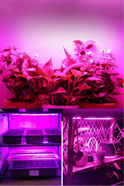 【美品】Led Light VT-7200CX/SET2 ① Jewval Hidroponik Full Spectrum Kapalı Alan Bitki Grow 200W Led