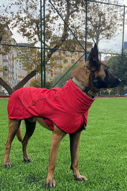 Large Breed Dog Raincoat, Dog Raincoat, Waterproof Dog Coat, Red 9-55kg