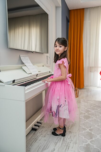 HMZ GOLD Elsa Tulle with Bow Party Birthday Dress Frozen Frozen Dress-  Trendyol