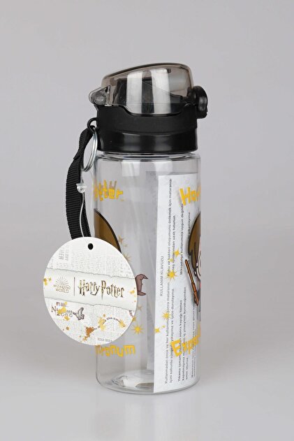 Harry Potter DEKOMUS İLE LİSANSLI TRITAN MATARA 700 ML - Fiyatı