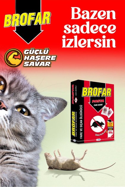 Brofar Pasta Fare Zehiri 100gr (10x10gr)