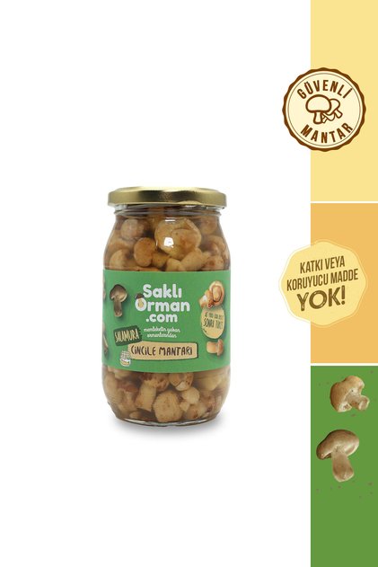Doğal Salamura Cincile Mantarı 200 gr